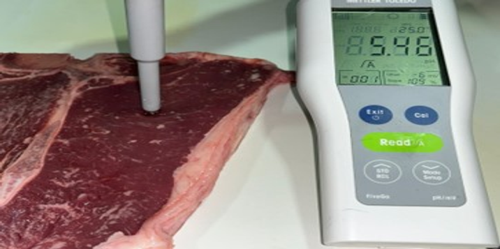 Importance of the pH in the shelf life and meat quality