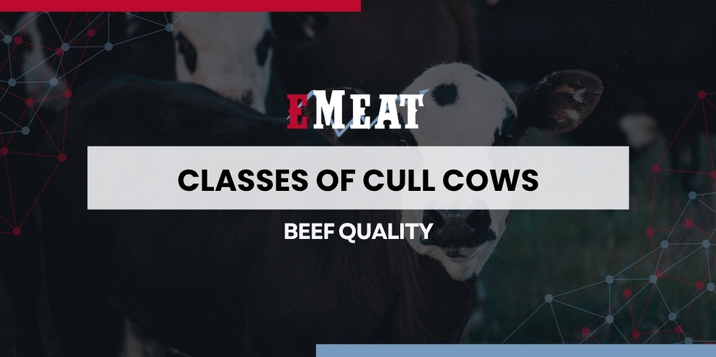 Classes of Cull cows