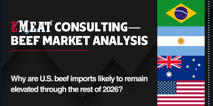 EMEAT Consulting—Beef Market Analysis