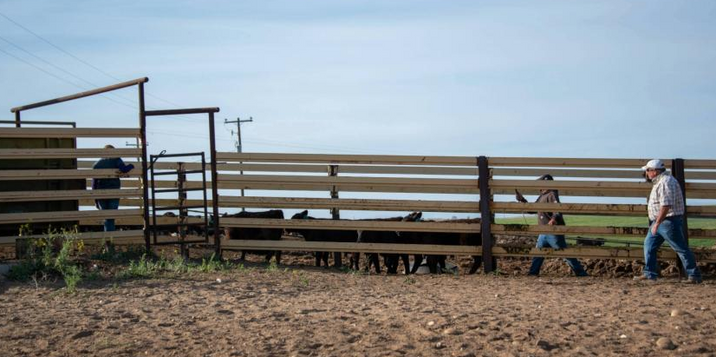 Developing an Organizational Chart for Farm Employees