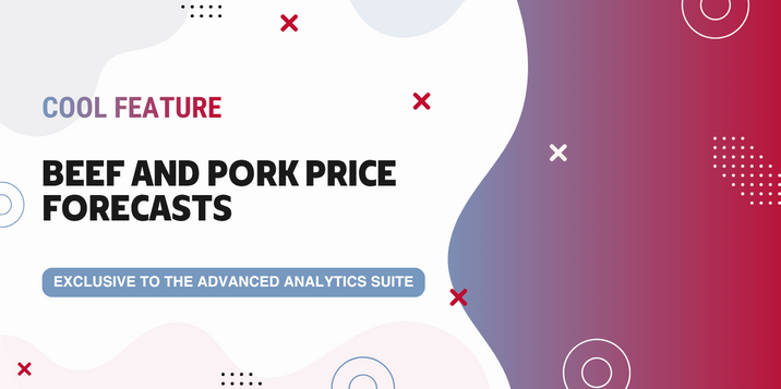 Plan Ahead with Confidence Using EMEAT’s Forecasting Tools