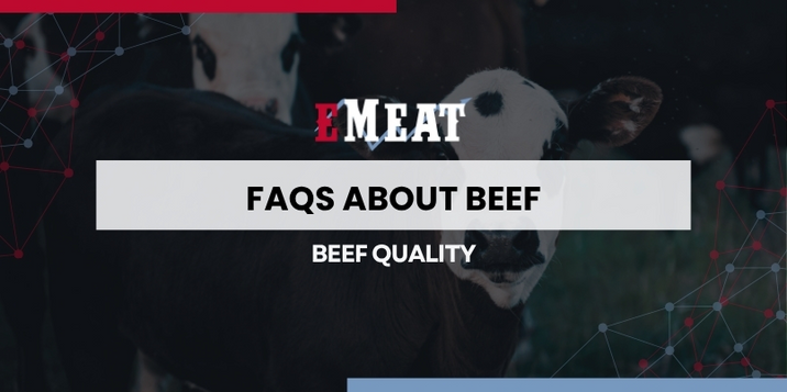 FAQs About Beef