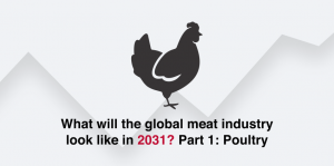 What will the global meat industry look like in 2031? Part 1: Poultry